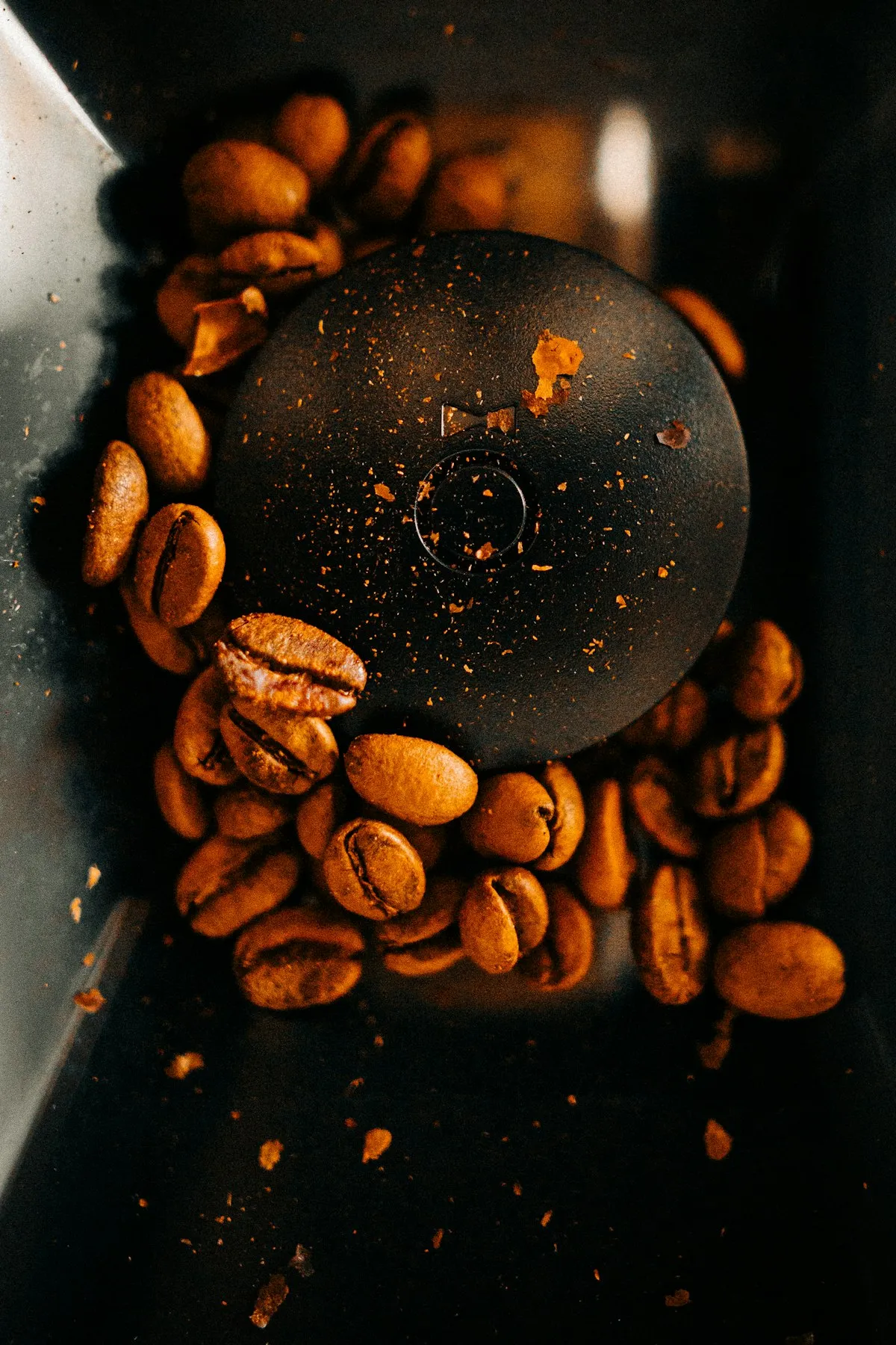 Roasted beans inside a grinder, seen from above